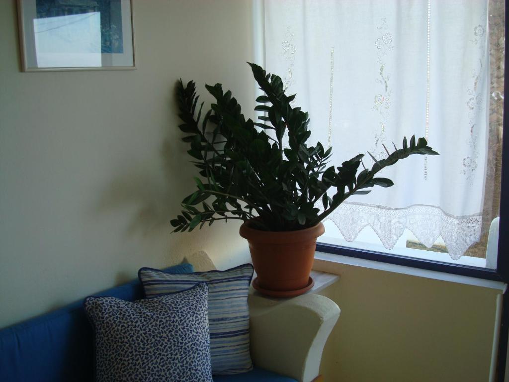 Philippos Studios & Apartments Kardamena  ภายนอก รูปภาพ